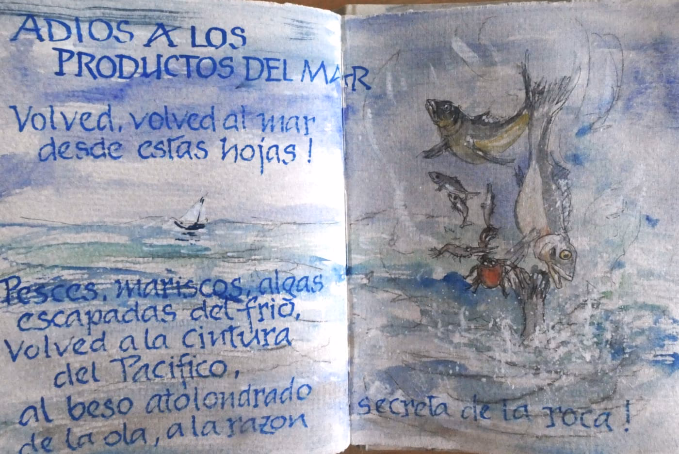 Maremoto (4)