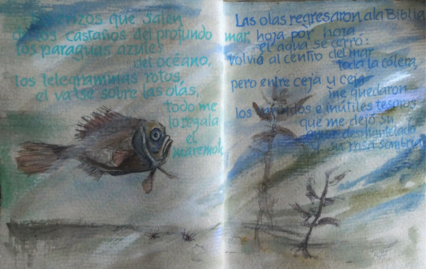 Maremoto (5)