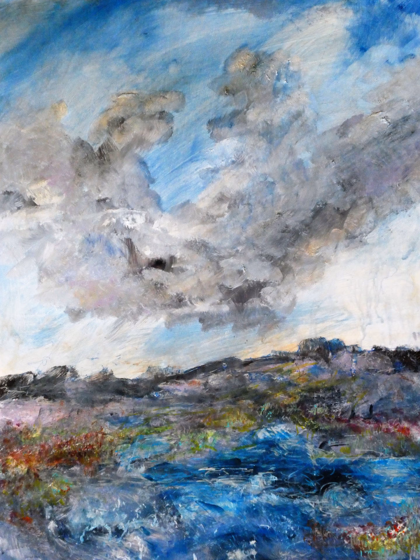 Wolkenvogel