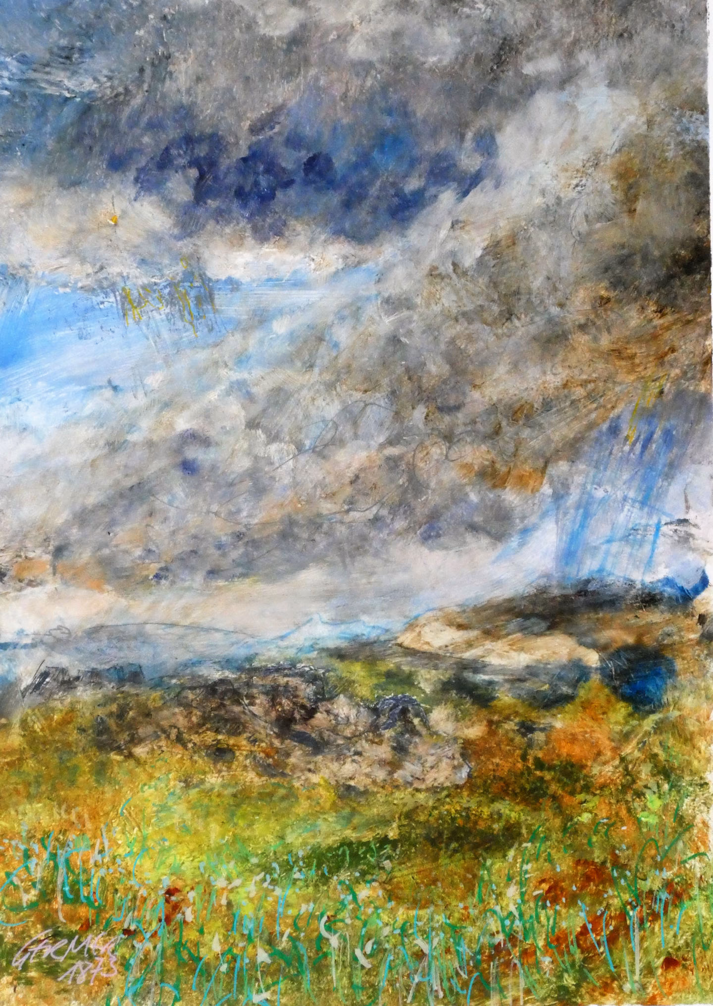 Wolkenvogelmoor